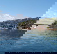 Private Full-Day Guided Tour Russell Lamb Macleay and Karragarra Islands - Accommodation Adelaide