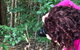 Let\'s Go Buggin & Let\'s Go Shroomin - Photography & Nature Walking Tours - thumb 8