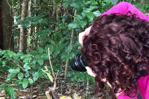 Let\'s Go Buggin & Let\'s Go Shroomin - Photography & Nature Walking Tours - Accommodation Adelaide 8