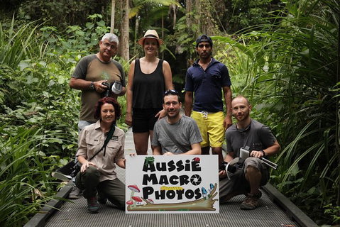 Let\'s Go Buggin & Let\'s Go Shroomin - Photography & Nature Walking Tours - Accommodation Adelaide 11