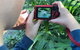 Let\'s Go Buggin & Let\'s Go Shroomin - Photography & Nature Walking Tours - thumb 1