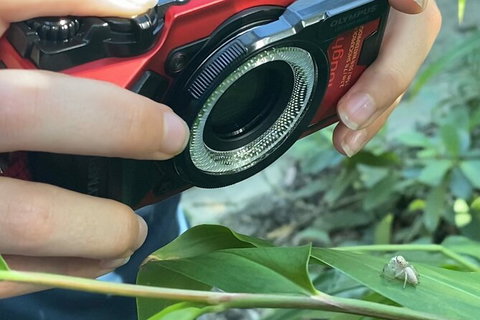 Let\'s Go Buggin & Let\'s Go Shroomin - Photography & Nature Walking Tours - Accommodation Adelaide 7