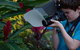 Let\'s Go Buggin & Let\'s Go Shroomin - Photography & Nature Walking Tours - thumb 2