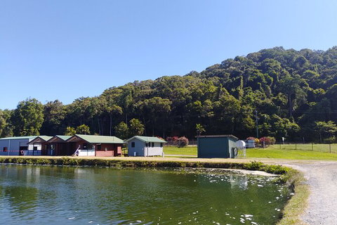 Small-Group Fishing At Barramundi Farm And A Visit To Port Douglas - Accommodation Adelaide 4