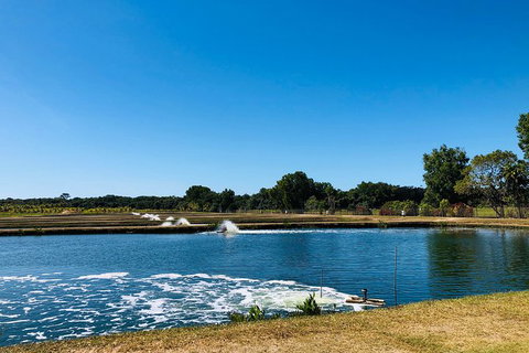 Small-Group Fishing At Barramundi Farm And A Visit To Port Douglas - Accommodation Adelaide 5
