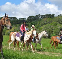 Horse Riding with Petting Zoo Visit in Cairns - Accommodation Adelaide