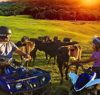 ATV Ride with Petting Zoo Experience in Kuranda from Cairns - Accommodation Adelaide