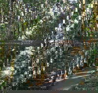 O'Reilly's and Binna Burra Full-Day Tour - Lamington National Park - Accommodation Adelaide