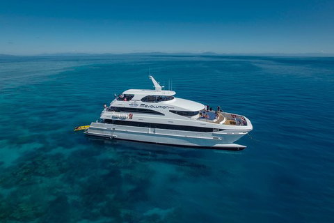 2-Day Great Barrier Reef And Daintree Rainforest Combo Package - Accommodation Adelaide 8
