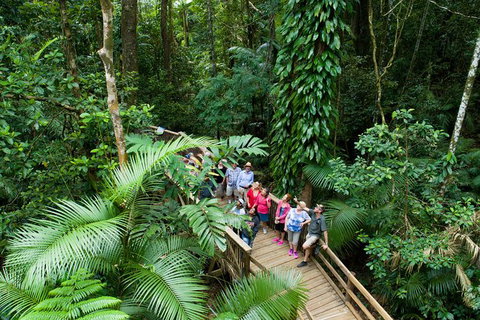 2-Day Great Barrier Reef And Daintree Rainforest Combo Package - Accommodation Adelaide 6