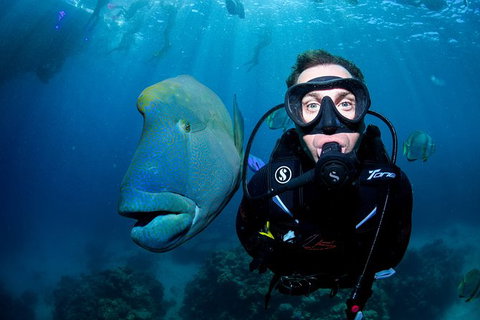 2-Day Great Barrier Reef And Daintree Rainforest Combo Package - Accommodation Adelaide 9