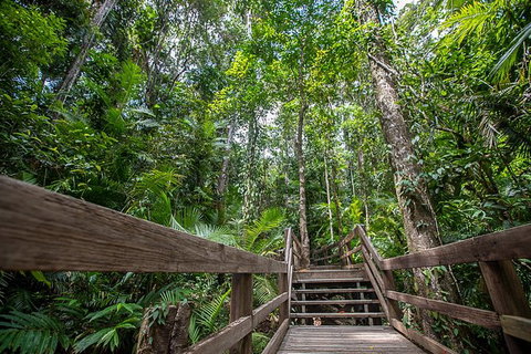 2-Day Great Barrier Reef And Daintree Rainforest Combo Package - Accommodation Adelaide 11