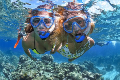 2-Day Great Barrier Reef And Daintree Rainforest Combo Package - Accommodation Adelaide 3