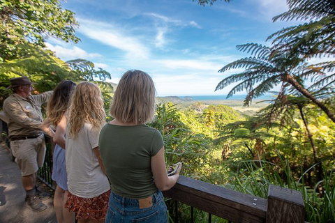 2-Day Great Barrier Reef And Daintree Rainforest Combo Package - Accommodation Adelaide 1