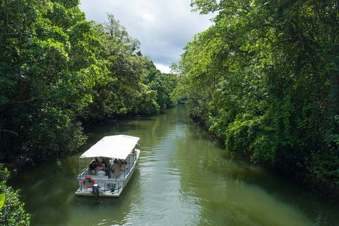 2-Day Great Barrier Reef And Daintree Rainforest Combo Package - Accommodation Adelaide 7