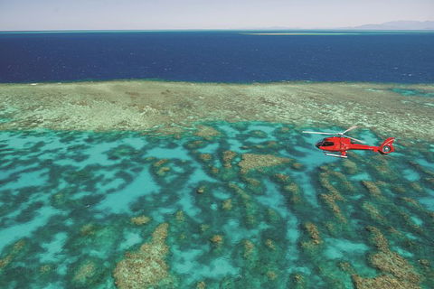 Day Tour To Kuranda, Rainforest And Port Douglas With Flight - Accommodation Adelaide 0