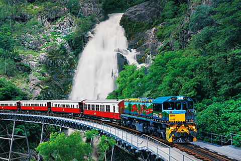 Day Tour To Kuranda, Rainforest And Port Douglas With Flight - Accommodation Adelaide 4