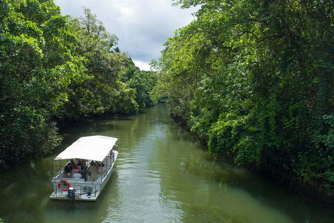 World Heritage Highlights: Reef/Daintree/Cape Tribulation - Accommodation Adelaide 1