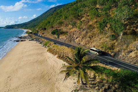 World Heritage Highlights: Reef/Daintree/Cape Tribulation - Accommodation Adelaide 5