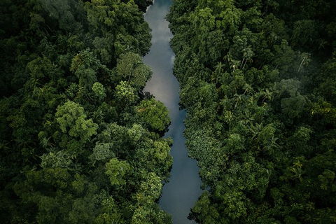 World Heritage Highlights: Reef/Daintree/Cape Tribulation - Accommodation Adelaide 10