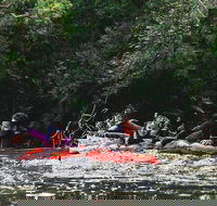 Mossman Gorge Adventure Day - Accommodation Adelaide
