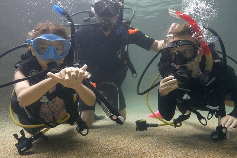 Scuba Kids- Padi Bubblemaker Course - Accommodation Adelaide 4