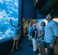 Cairns Aquarium by Twilight with 3 Course Dinner - Accommodation Adelaide