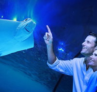 Cairns Aquarium Tour by Twilight with Drink and Appetiser - Accommodation Adelaide