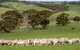 Kangaroo Island Luxury Small Group \'Island Life\' Full Day Tour - thumb 4