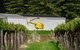 Barossa Valley Deluxe: 30-Minute Helicopter Flight - thumb 3