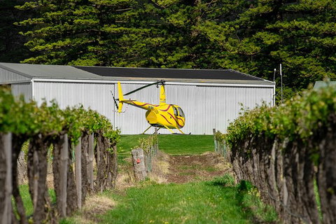 Barossa Valley Deluxe: 30-Minute Helicopter Flight - Accommodation Adelaide 3