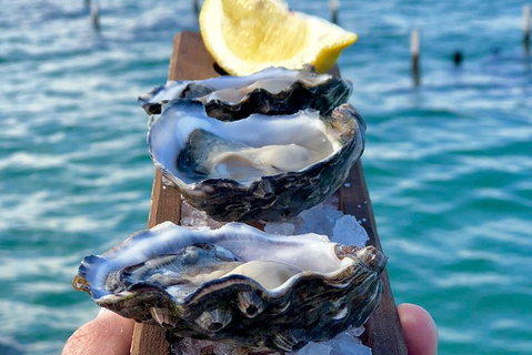 Coffin Bay Oysters, Ocean & Nature Tour - Accommodation Adelaide 0