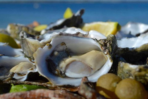Coffin Bay Oysters, Ocean & Nature Tour - Accommodation Adelaide 8