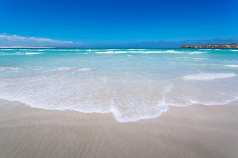 Coffin Bay Oysters, Ocean & Nature Tour - Accommodation Adelaide 14