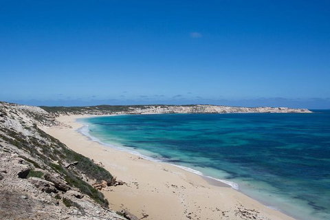 Coffin Bay Oysters, Ocean & Nature Tour - Accommodation Adelaide 16