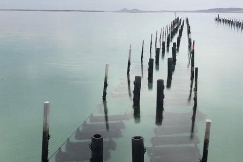 Coffin Bay Oysters, Ocean & Nature Tour - Accommodation Adelaide 15