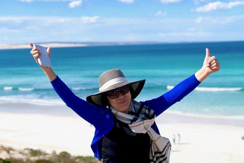 Coffin Bay Oysters, Ocean & Nature Tour - Accommodation Adelaide 11