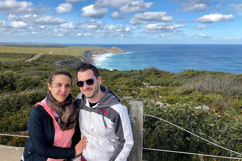 NEW TOUR - Flinders Chase Tour (Recovering From Fires) - Accommodation Adelaide 3
