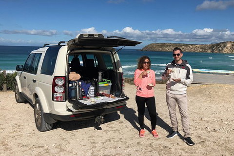 NEW TOUR - Flinders Chase Tour (Recovering From Fires) - Accommodation Adelaide 0