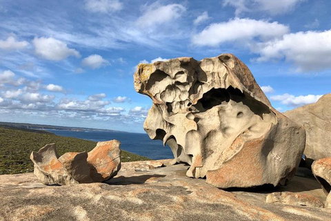 NEW TOUR - Flinders Chase Tour (Recovering From Fires) - Accommodation Adelaide 2