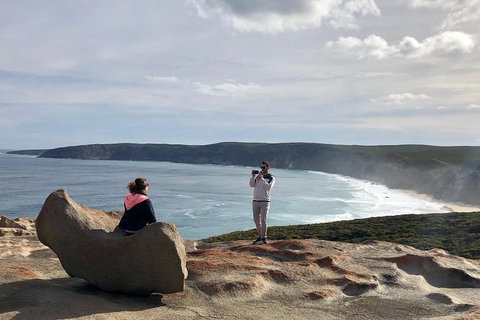 NEW TOUR - Flinders Chase Tour (Recovering From Fires) - Accommodation Adelaide 5