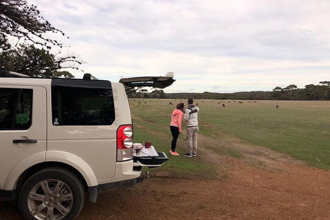 NEW TOUR - Flinders Chase Tour (Recovering From Fires) - Accommodation Adelaide 6