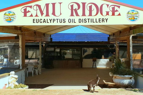 2-Day Kangaroo Island Safari From Adelaide - Accommodation Adelaide 14