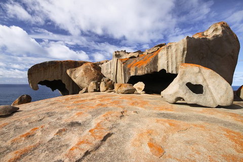 2-Day Kangaroo Island Safari From Adelaide - Accommodation Adelaide 15