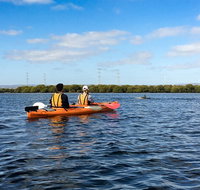 Dolphin Sanctuary Kayaking in Adelaide - Accommodation Adelaide