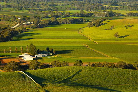 Full-Day Wine World Tour In Barossa - Accommodation Adelaide 3