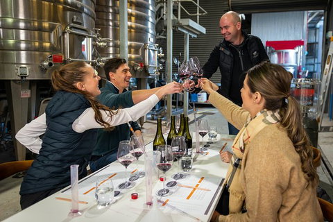 Winemaker Experience - Accommodation Adelaide 0