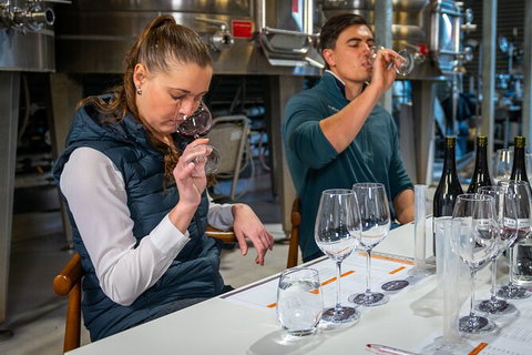 Winemaker Experience - Accommodation Adelaide 1