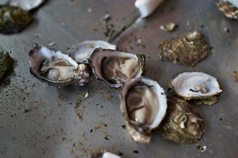Fine Flavours - Full Day Kangaroo Island Food & Wine Tour - Accommodation Adelaide 10