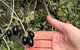 Fine Flavours - Full Day Kangaroo Island Food & Wine Tour - thumb 4